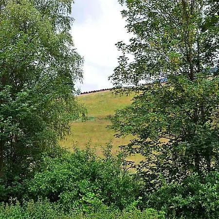 Gemutlicher Ruckzugsort In Olsberg-elpe Olsberg